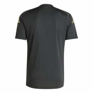 Maillot Argentine Pre-Match 2024 2025